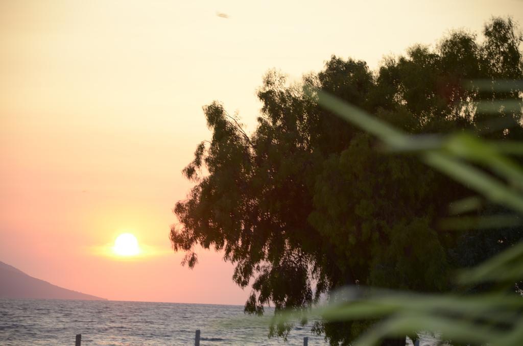 Hotel Garden Vlorë Eksteriør billede