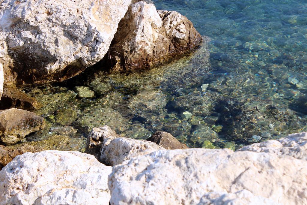 Hotel Garden Vlorë Eksteriør billede